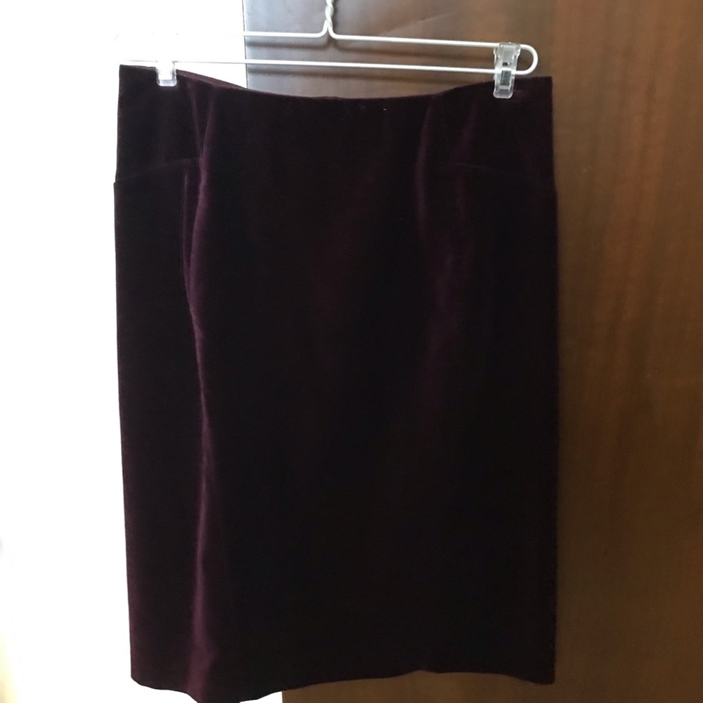 Ann Taylor Burgundy skirt